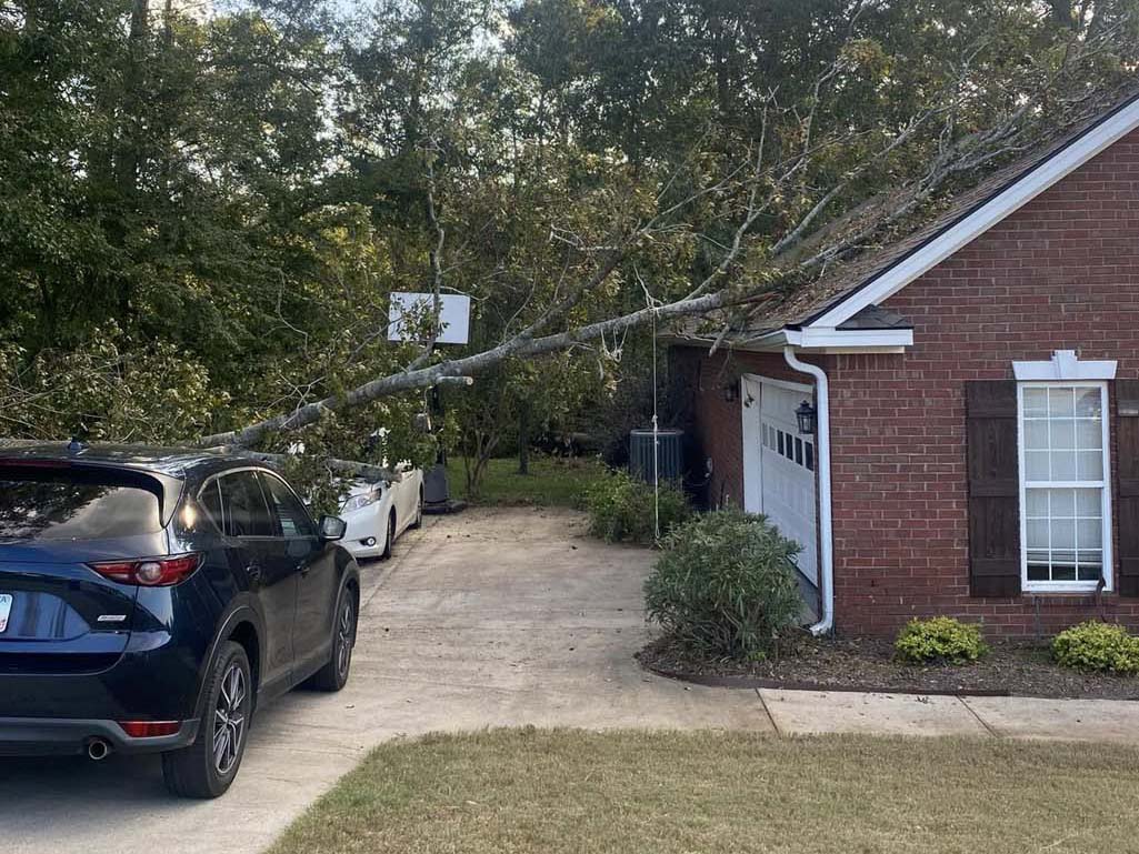 Before Land Clearing