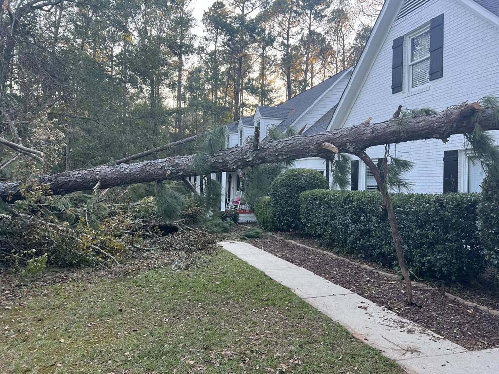 Before Land Clearing